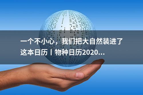 一个不小心，我们把大自然装进了这本日历丨物种日历2020全网首发