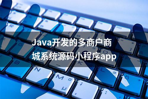 Java开发的多商户商城系统源码小程序app