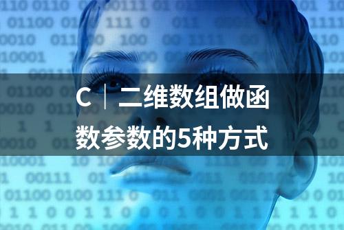 C｜二维数组做函数参数的5种方式