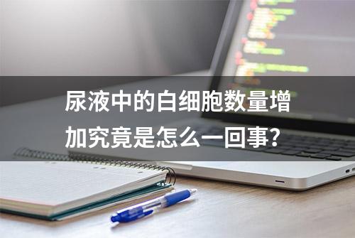 尿液中的白细胞数量增加究竟是怎么一回事？