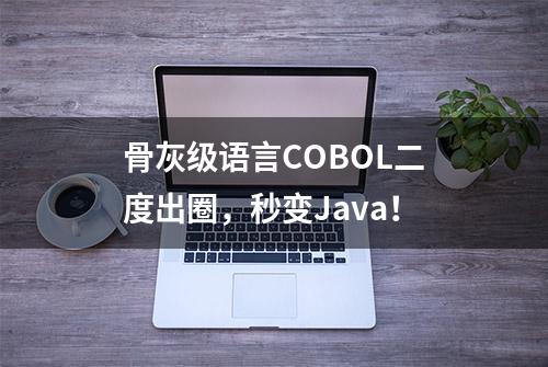 骨灰级语言COBOL二度出圈，秒变Java！