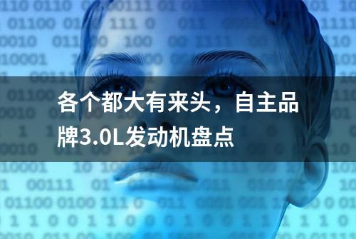 各个都大有来头，自主品牌3.0L发动机盘点