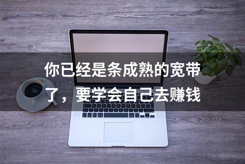 你已经是条成熟的宽带了，要学会自己去赚钱