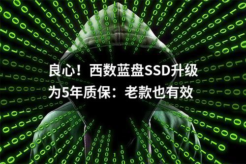 良心！西数蓝盘SSD升级为5年质保：老款也有效