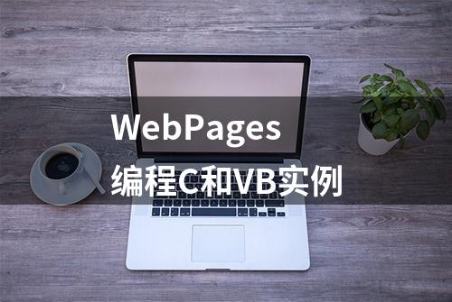 WebPages编程C和VB实例