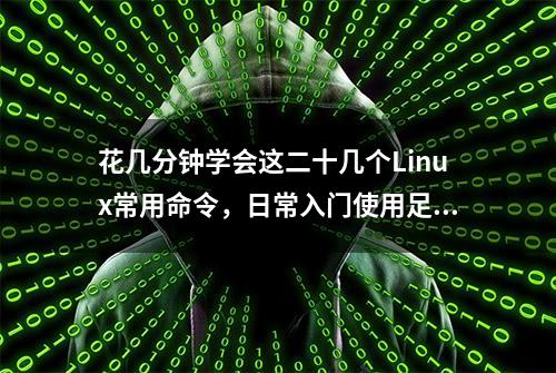 花几分钟学会这二十几个Linux常用命令，日常入门使用足矣