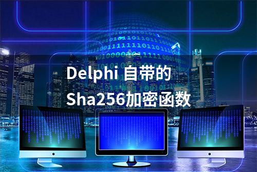 Delphi 自带的Sha256加密函数