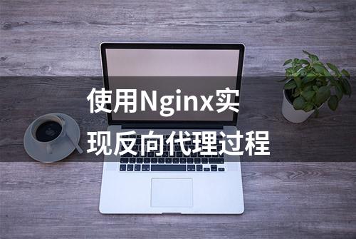 使用Nginx实现反向代理过程