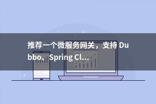 推荐一个微服务网关，支持 Dubbo、Spring Cloud、Spring Boot ！