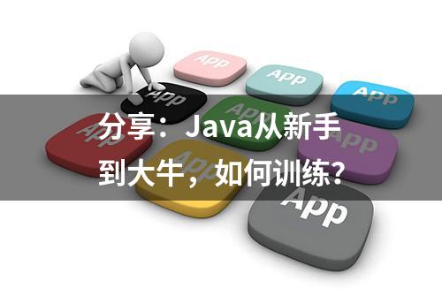 分享：Java从新手到大牛，如何训练？