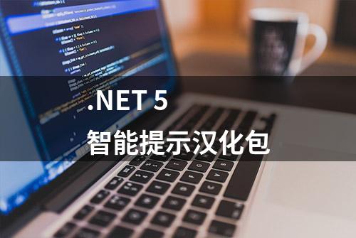 .NET 5 智能提示汉化包