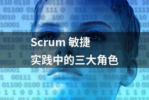 Scrum 敏捷实践中的三大角色