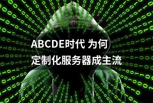 ABCDE时代 为何定制化服务器成主流