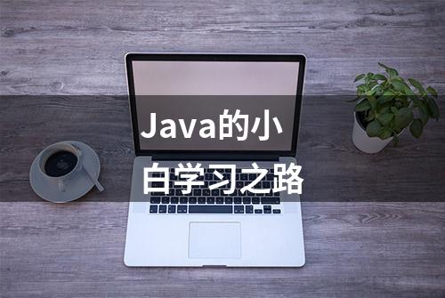 Java的小白学习之路