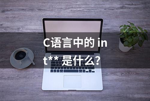 C语言中的 int** 是什么？