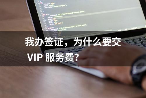 我办签证，为什么要交 VIP 服务费？