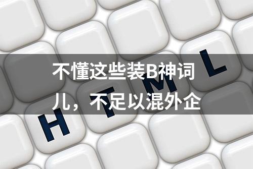 不懂这些装B神词儿，不足以混外企