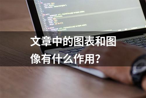 文章中的图表和图像有什么作用？