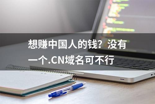 想赚中国人的钱？没有一个.CN域名可不行