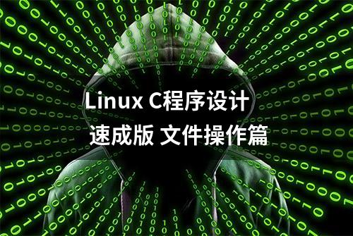 Linux C程序设计 速成版 文件操作篇