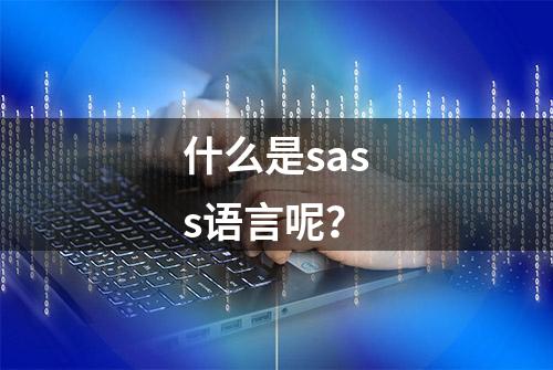 什么是sass语言呢？