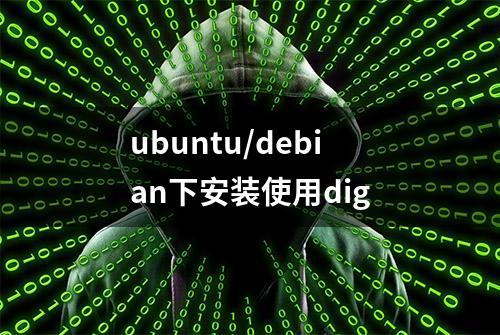 ubuntu/debian下安装使用dig