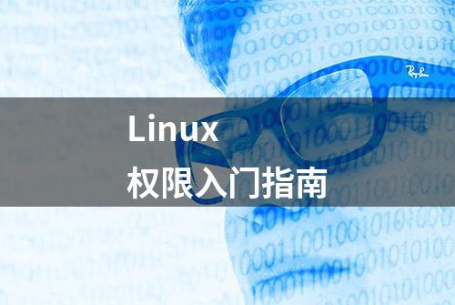 Linux 权限入门指南