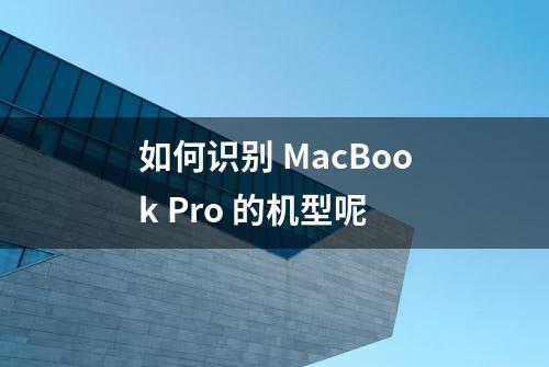 如何识别 MacBook Pro 的机型呢