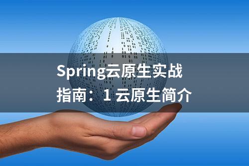 Spring云原生实战指南：1 云原生简介