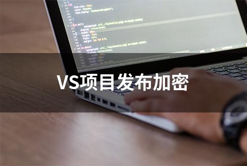 VS项目发布加密