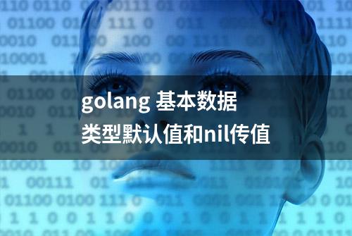 golang 基本数据类型默认值和nil传值