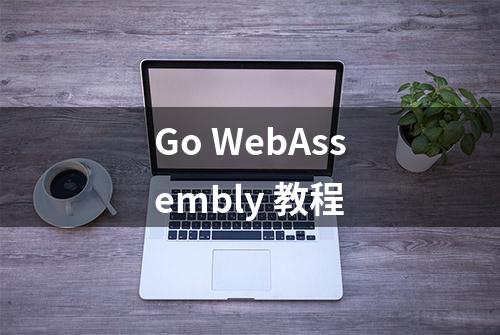 Go WebAssembly 教程