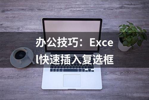 办公技巧：Excel快速插入复选框