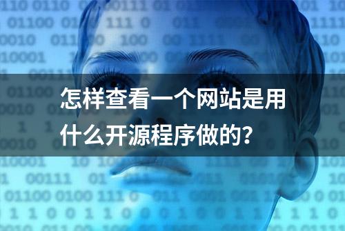 怎样查看一个网站是用什么开源程序做的？