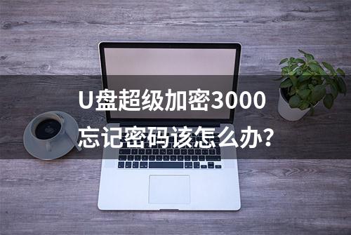 U盘超级加密3000忘记密码该怎么办？