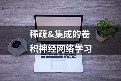 稀疏&集成的卷积神经网络学习