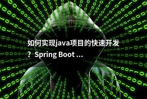 如何实现java项目的快速开发？Spring Boot +SSM 入门教程 3