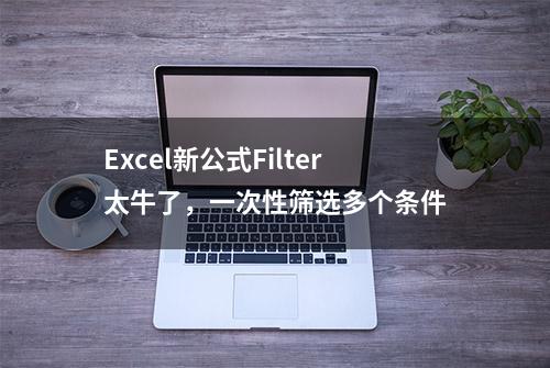 Excel新公式Filter太牛了，一次性筛选多个条件