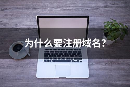 为什么要注册域名？