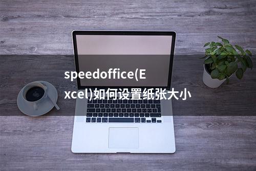 speedoffice(Excel)如何设置纸张大小