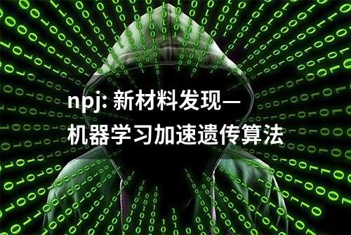 npj: 新材料发现—机器学习加速遗传算法