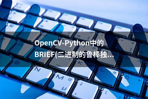 OpenCV-Python中的BRIEF(二进制的鲁棒独立基本特征)