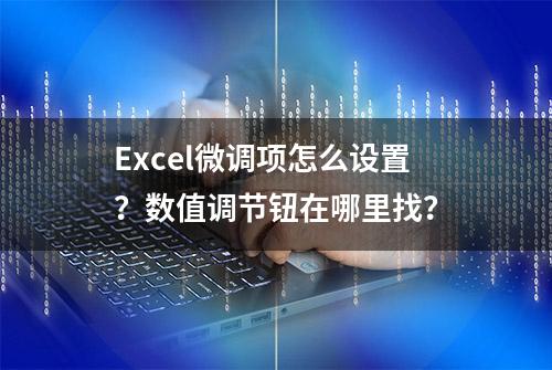 Excel微调项怎么设置？数值调节钮在哪里找？