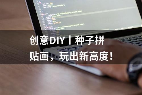 创意DIY丨种子拼贴画，玩出新高度！