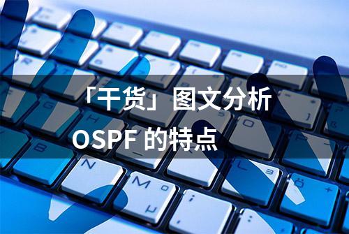 「干货」图文分析 OSPF 的特点