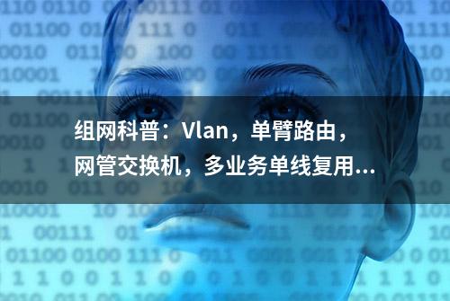 组网科普：Vlan，单臂路由，网管交换机，多业务单线复用（中）