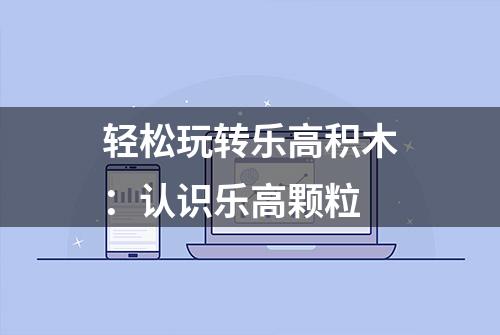 轻松玩转乐高积木：认识乐高颗粒