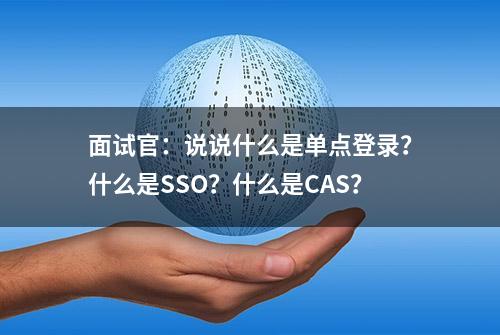 面试官：说说什么是单点登录？什么是SSO？什么是CAS？