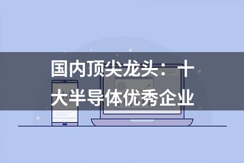 国内顶尖龙头：十大半导体优秀企业