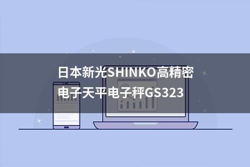 日本新光SHINKO高精密电子天平电子秤GS323